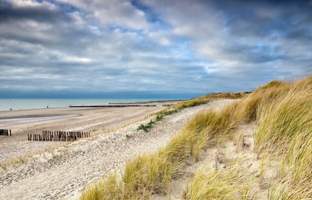 sentier le long de la plage de sable de la mer du Nord