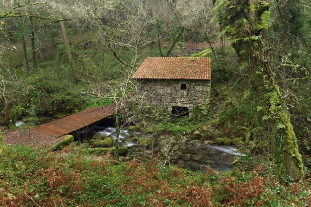 Sentier le long de la rivière Fraga