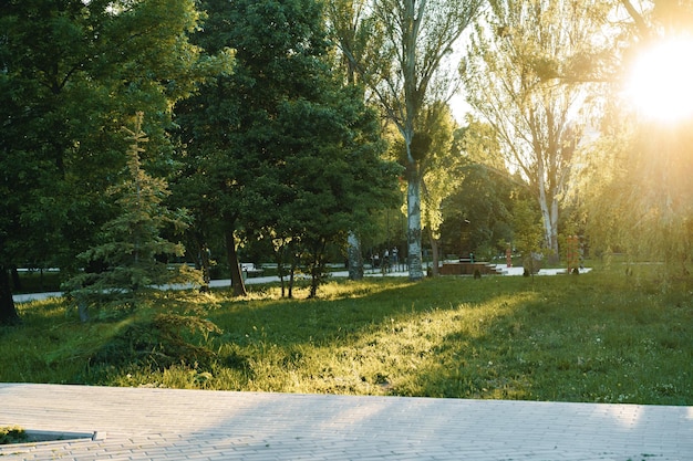 Sentier de marche en ciment dans un magnifique parc