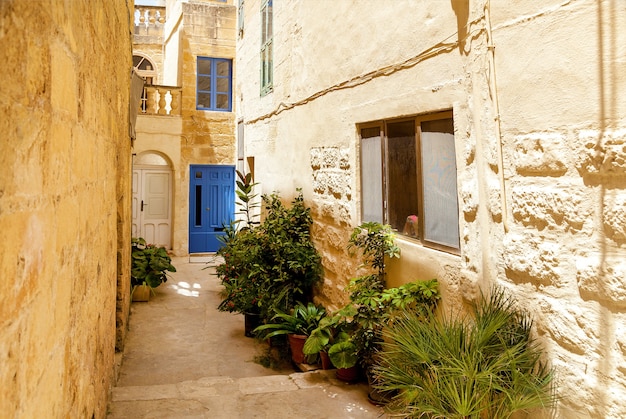 Le sentier médiéval traditionnel avec des plantes grimpantes sur les murs à Malte.