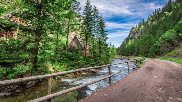 Sentier de montagne au bord de la rivière dans les Tatras Pologne