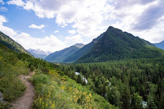 Sentier de montagne. Chemin de montagne menant au sommet de la montagne. Faune. Beau paysage.