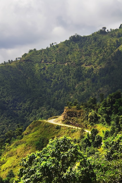 Sentier de montagne dans l'Himalaya. Paysage naturel. Pokhara, Népal