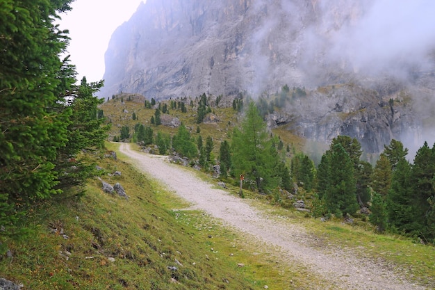 Sentier de montagne pour marcher Matin d'automne brumeux Mise au point sélective