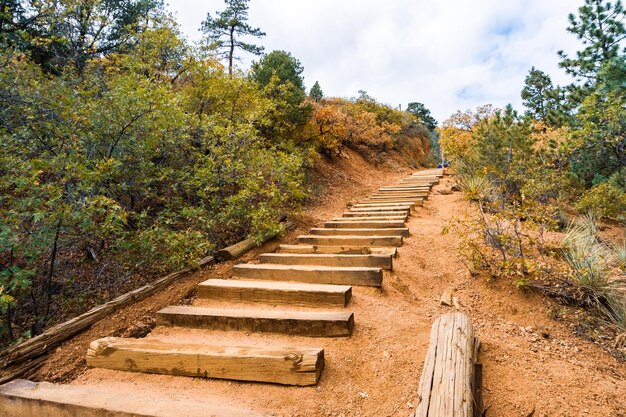 Sentier de nature extrême avec une pente raide pour les randonneurs avancés.