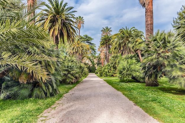 Sentier panoramique entouré par la nature à l'intérieur d'un parc public dans le centre-ville de Rome, Italie