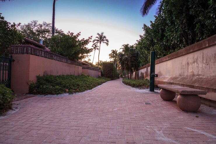 Photo un sentier par les palmiers contre le ciel en ville