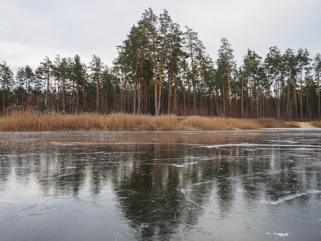 Sentier de patins sur un lac de forêt gelée en hiver au coucher du soleil