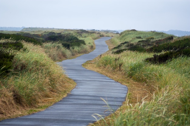 Sentier pavé menant à une plage de sable