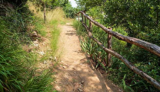 Sentier pédestre avec arbre de clôture en bois le long du chemin