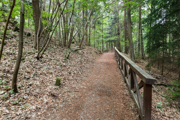 Sentier pédestre dans les montagnes avec rampes en bois