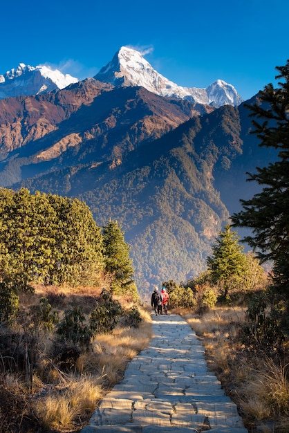 Photo sentier pédestre jusqu'au point de vue de poon hill au népal.