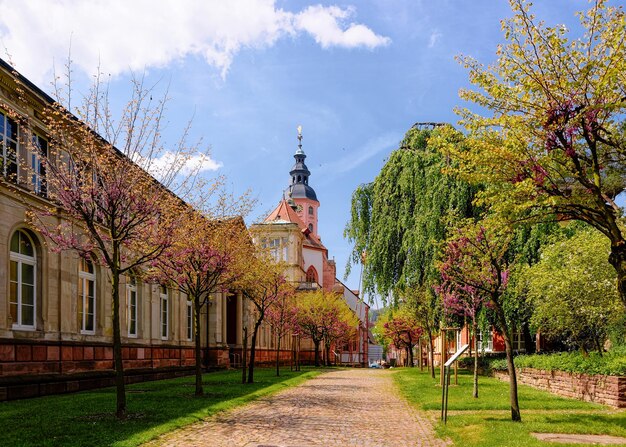 Sentier près de l'église collégiale Stiftskirche et du paysage urbain avec rue dans la vieille ville de Baden Baden dans la région de Baden Wurtemberg en Allemagne. Vue de la passerelle à Bath and Spa ville allemande en Europe. Point de repère