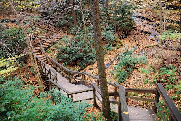 Sentier de randonnée d'automne