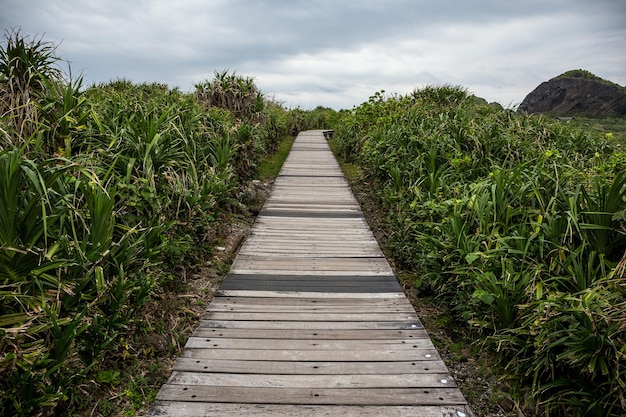 Sentier de randonnée en bois