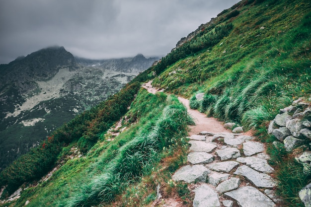 Le sentier de randonnée sur la colline verdoyante. Tatras