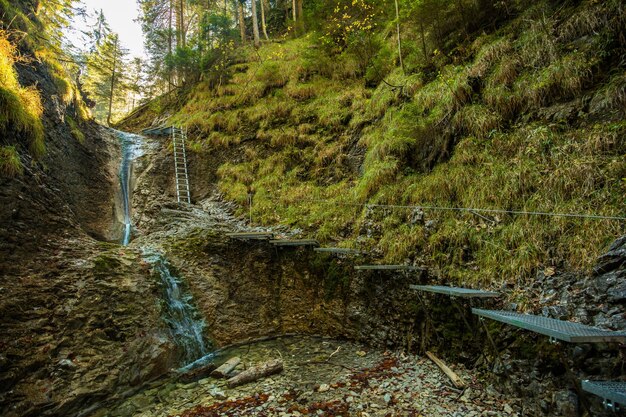 Sentier de randonnée dans la gorge de Sucha Bela dans le parc national de Slovensky raj Slovaquie