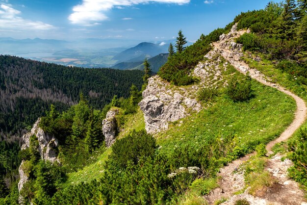 Sentier de randonnée dans les montagnes tatras occidentales en Slovaquie