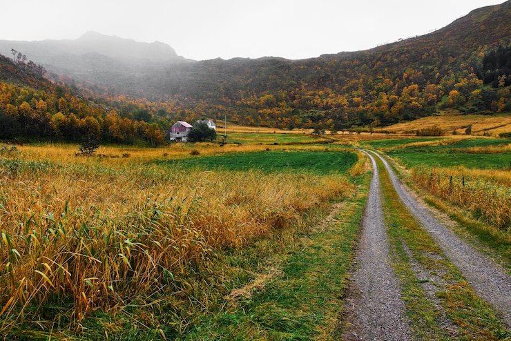 Photo le sentier de randonnée de la ferme menant à une grange et à une vieille maison à la campagne à lofoten, en norvège
