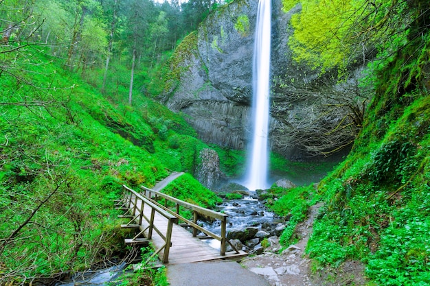 Sentier de randonnée de Latourell Falls Oregon US passerelle