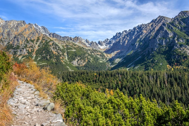 Sentier de randonnée parmi le paysage pittoresque de hautes montagnes par une journée ensoleillée