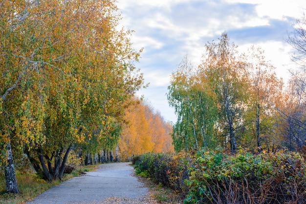 Le sentier de la rue de la ville parsemé de feuilles jaunes, oranges et rouges tombées. Paysage d'automne.