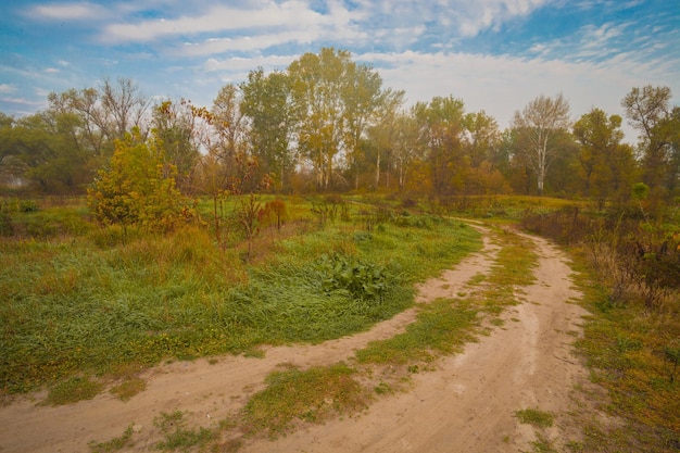 Sentier à travers la forêt d'automne