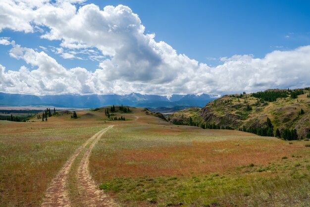 Sentier à travers les montagnes. Randonnée sur le sentier de montagne. Un paysage alpin minimaliste à l'atmosphère lumineuse avec un chemin rocheux parmi les herbes des hauts plateaux. Le chemin à flanc de montagne.