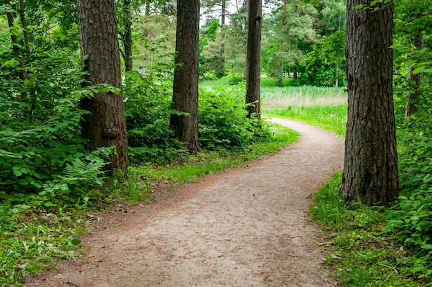 Sentier de trottoir incurvé dans la rue vide Paysage de quartier