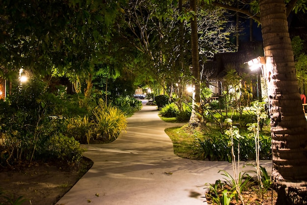 Photo sentier vide de nuit à travers le village dans la jungle beaucoup de maisons en bois de verdure lampes sur des palmiers