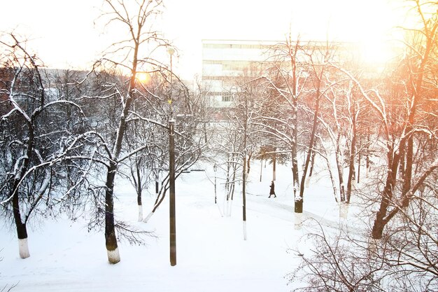 sentier de la ville hiver