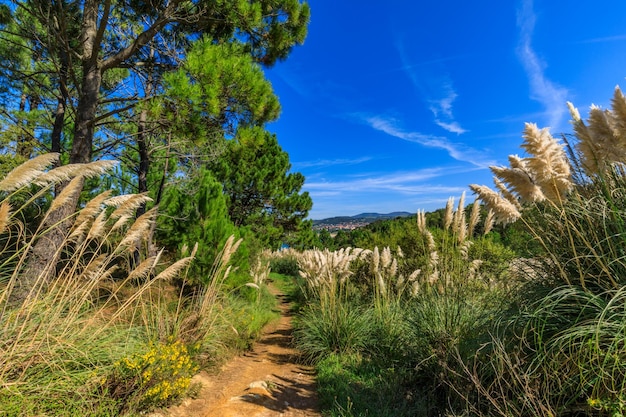 Sentiers pédestres le long de la côte Espagne