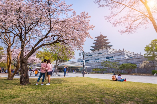 SEOUL - 10 avril 2016: Palais Gyeongbokgung avec fleurs de cerisier au printemps Voyage de Corée, 10 avril 2016 à Séoul, Corée du Sud.