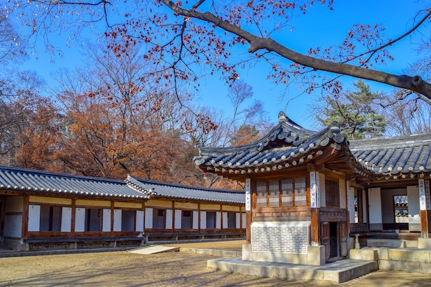 SéoulCorée du Sud 1122020 Changdeokgung est le mieux conservé des quotFive Grand Palacesquot de la dynastie Joseon Cette photo provient du jardin secret Huwon derrière le palais de Séoul Corée