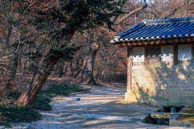 SéoulCorée du Sud 1122020 Changdeokgung est le mieux conservé des quotFive Grand Palacesquot de la dynastie Joseon Cette photo provient du jardin secret Huwon derrière le palais de Séoul Corée