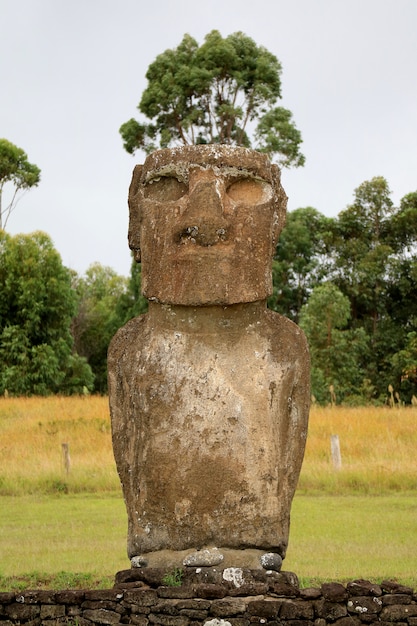 Une Des Sept Statues Gigantesques Et Historiques De Moai à Ahu Akivi, Sur L'île De Pâques Au Chili, En Amérique Du Sud