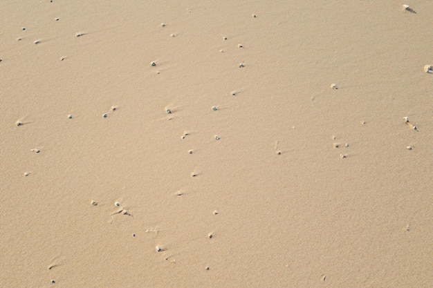 Sérénité aérienne belle plage de sable d'en haut