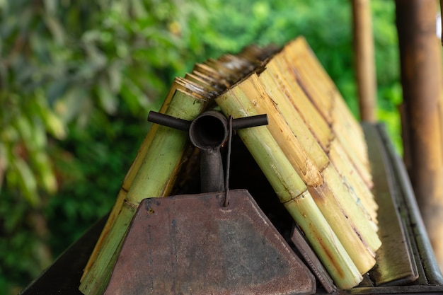 Série de Khaolam, nom de la cuisine thaïlandaise, contient du riz gluant rôti dans un bâton de bambou.