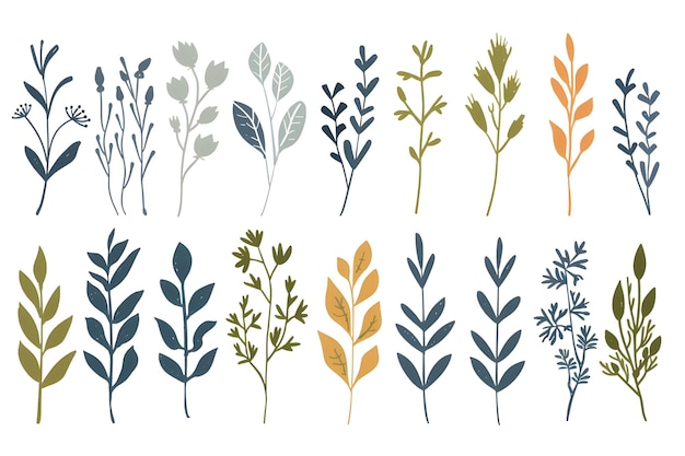 une série de plantes et de feuilles de différentes couleurs