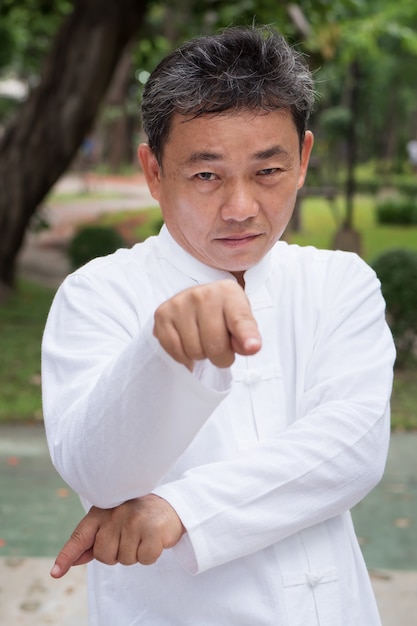 Sérieux vieil homme pratiquant le kungfu de style mante religieuse ou le tai chi dans le concept d'exercice de méditation de mode de vie sain de parc