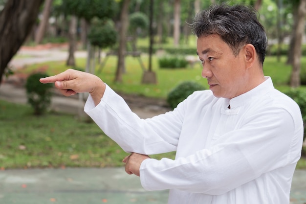 Sérieux vieil homme pratiquant le kungfu de style mante religieuse ou le tai chi dans le concept d'exercice de méditation de mode de vie sain de parc