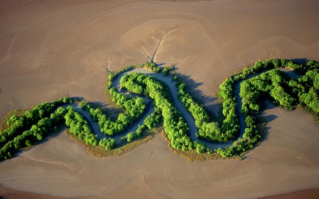 un serpent bleu est dans le sable avec le mot serpent dessus