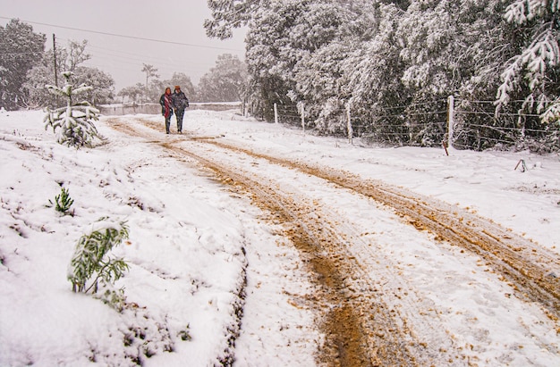 Serra de Santa Catarina, région sud du Brésil, l'un des plus grands phénomènes de neige jamais vus de toute son histoire.