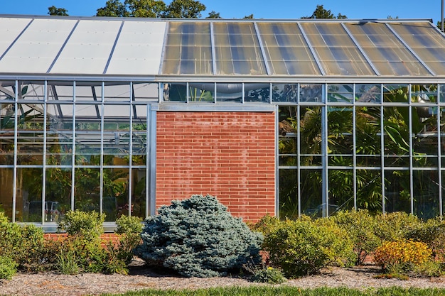 Serre ensoleillée et jardin avec feuillage tropical Muncie