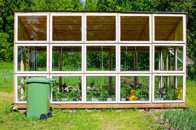 Serre de légumes maison en bois avec plantes bio