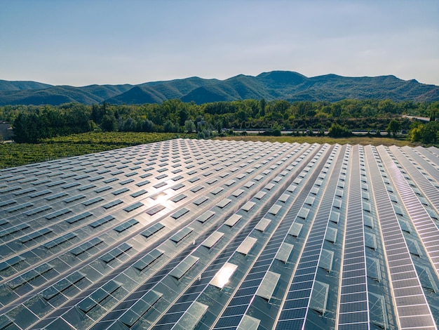 Serre pour la culture de légumes avec panneaux photovoltaïques montés