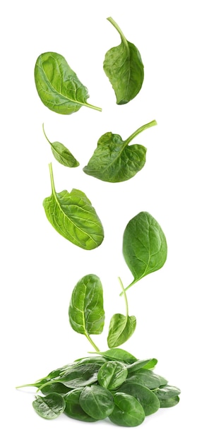 Photo sertie de feuilles d'épinards verts frais tombant sur fond blanc