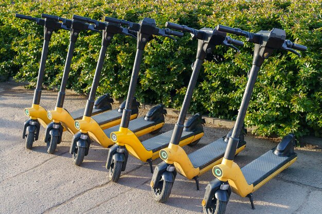 Services de location de scooters électriques respectueux de l'environnement
