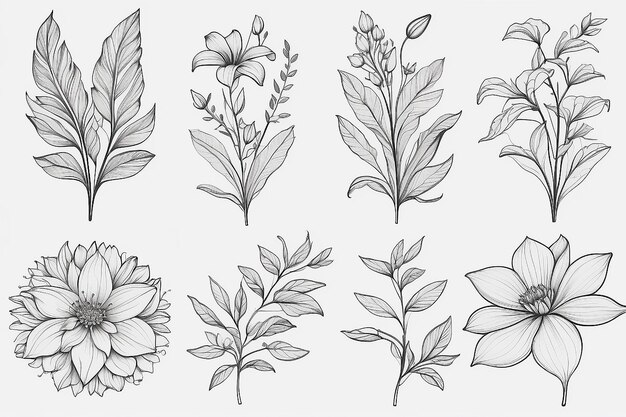 Photo set d'arrangements floraux collection d'art en ligne de fleurs et de feuilles