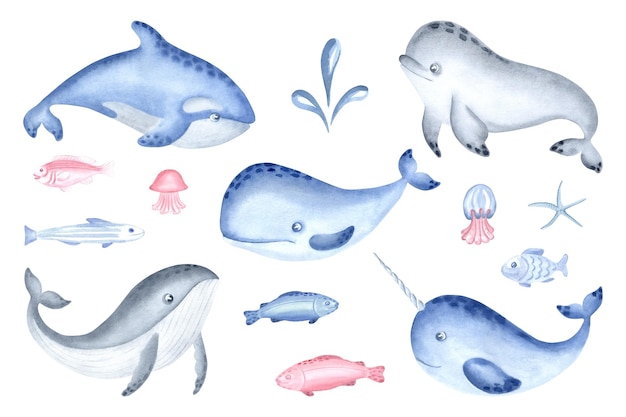 Set de baleines et de poissons de mer arctique illustration à l'aquarelle pour les dessins de bébé sous-marin du nord